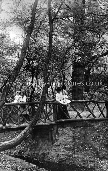 Ye Old Rustic Bridge, Highams Park Lake, Highams Park, London. c.1908.